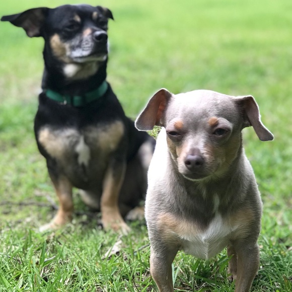 Meet your Posher, Lynette - Picture 3 of 5